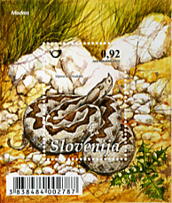 Blok živali