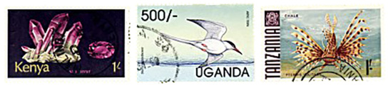Kenija Uganda Tanzanija